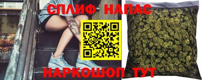spice Рязань