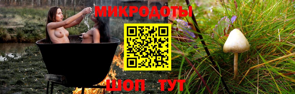 Галлюциногенные грибы GOLDEN TEACHER Тавда